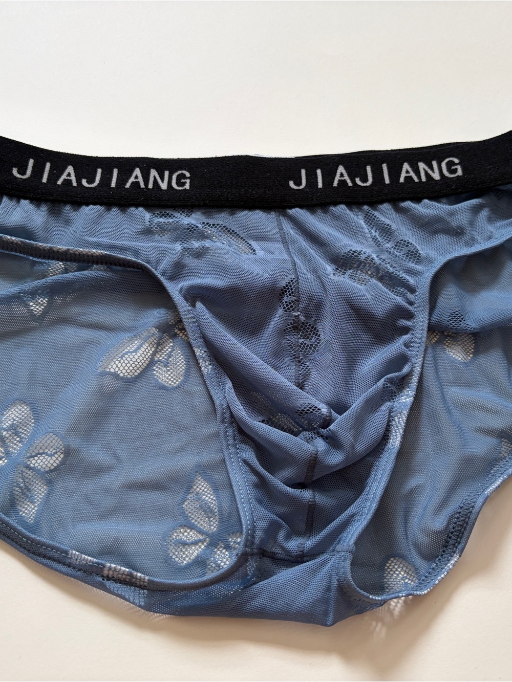 Jiajiang Men's Blue Sheer Mesh Briefs with Floral Accents